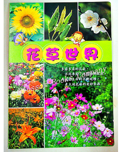 大書系列:中文大書系列-第二輯(全套10 書)